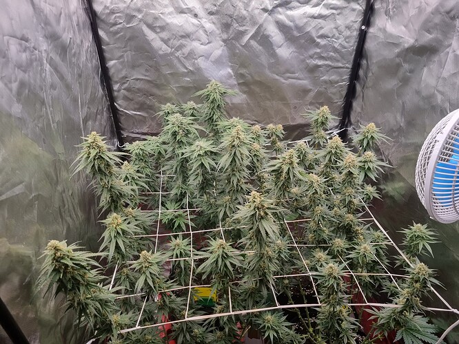 Growreport Bild 18