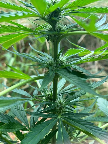 Growreport Bild 10