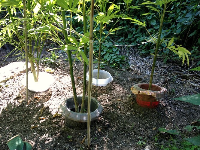 Growreport Bild 18