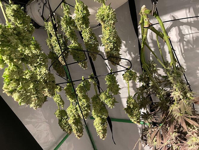 Growreport Bild 13