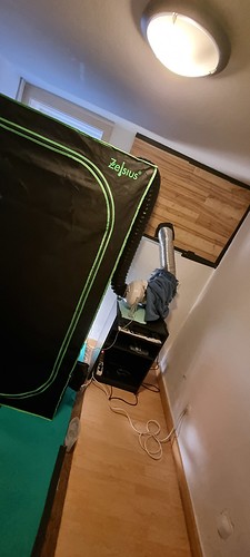 Growreport Bild 3