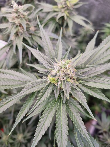 Growreport Bild 17