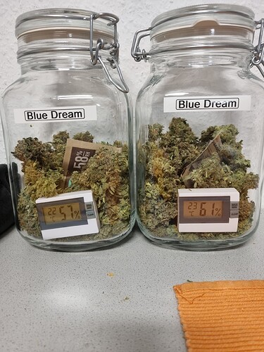 Growreport Bild 1