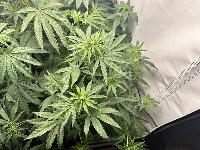 Growreport Bild 11