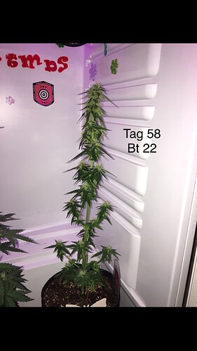 Growreport Bild 11