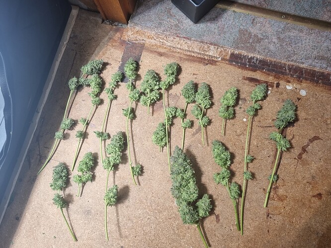 Growreport Bild 4