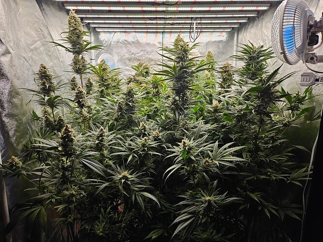 Growreport Bild 57