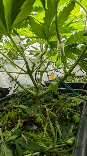 PXL_20230909_093507799