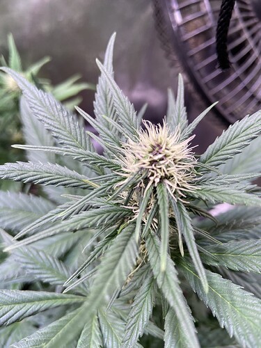 Growreport Bild 11