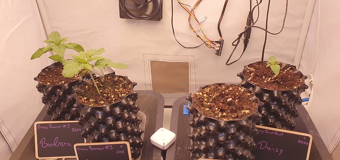 Growreport Bild 1