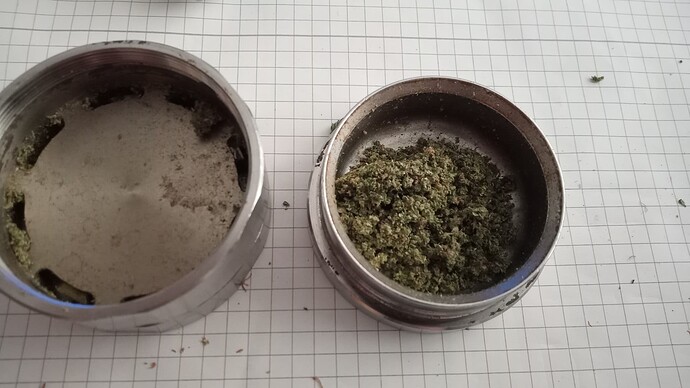 Growreport Bild 19