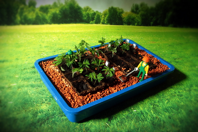 Growreport Bild 15