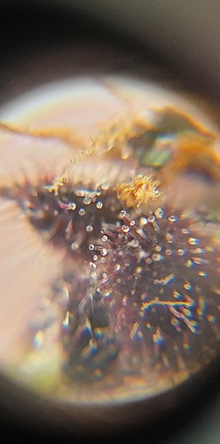Growreport Bild 4
