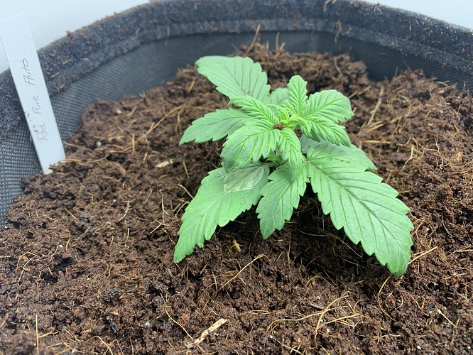 Growreport Bild 4