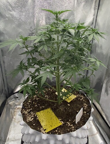 Growreport Bild 1