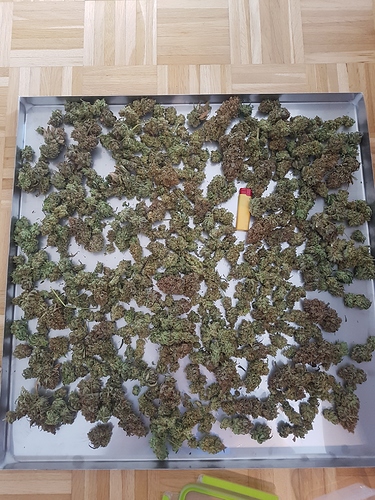 Growreport Bild 8