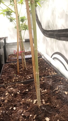 Growreport Bild 15