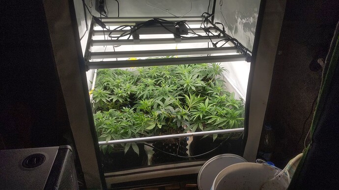 3-IMG_20231215_232824_117