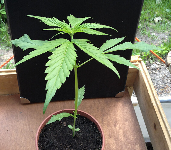 Growreport Bild 24