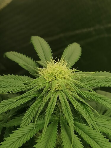 Growreport Bild 14