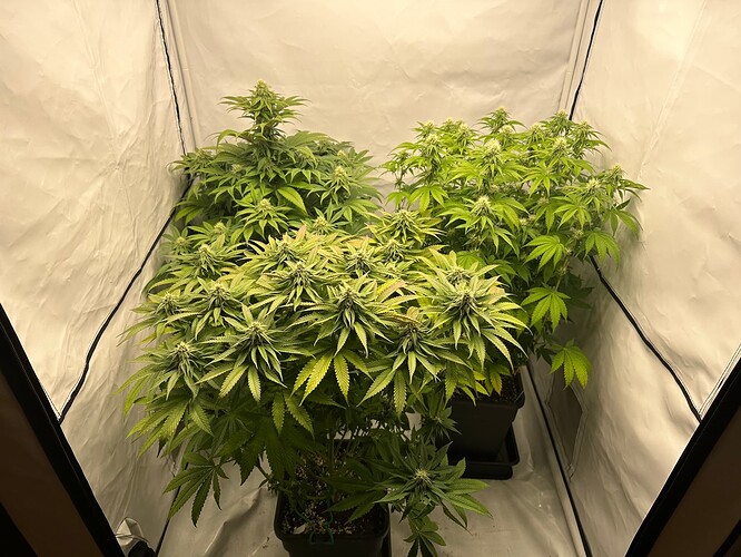 Growreport Bild 4