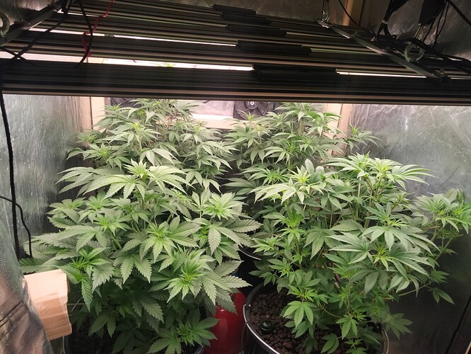 Growreport Bild 17