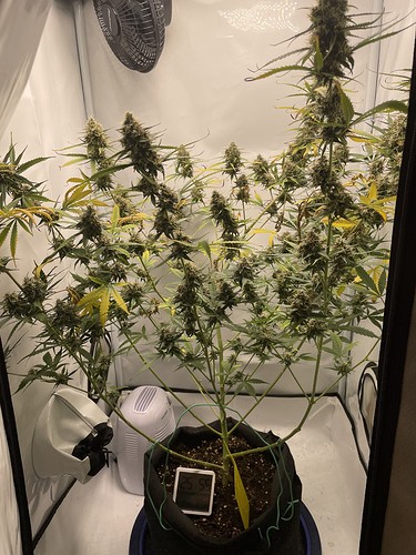 Growreport Bild 10