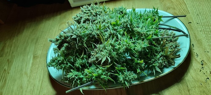 Growreport Bild 9