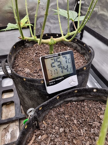 Growreport Bild 9