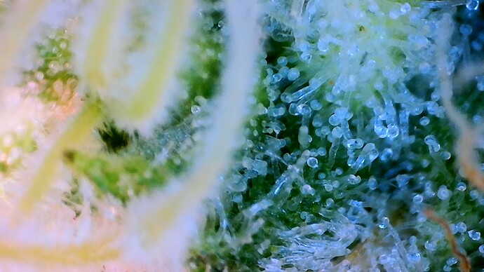 Growreport Bild 17