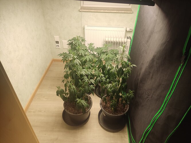 Growreport Bild 23