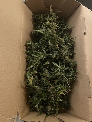 Growreport Bild 20