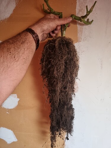 Growreport Bild 44