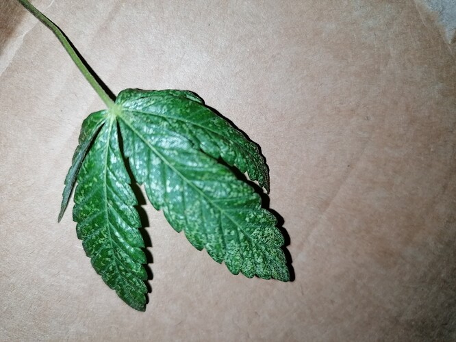 Growreport Bild 10
