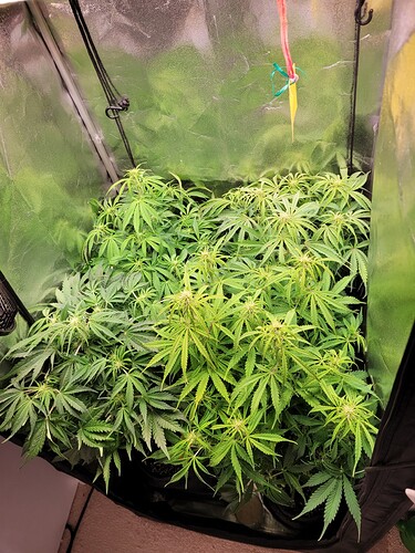 Growreport Bild 10