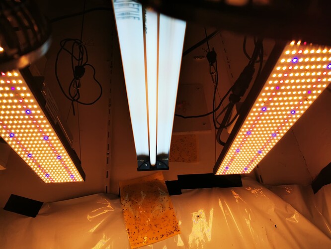 Growreport Bild 2