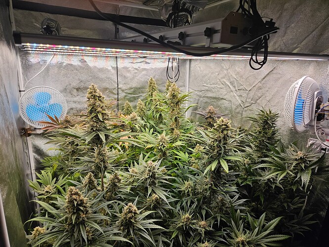 Growreport Bild 3