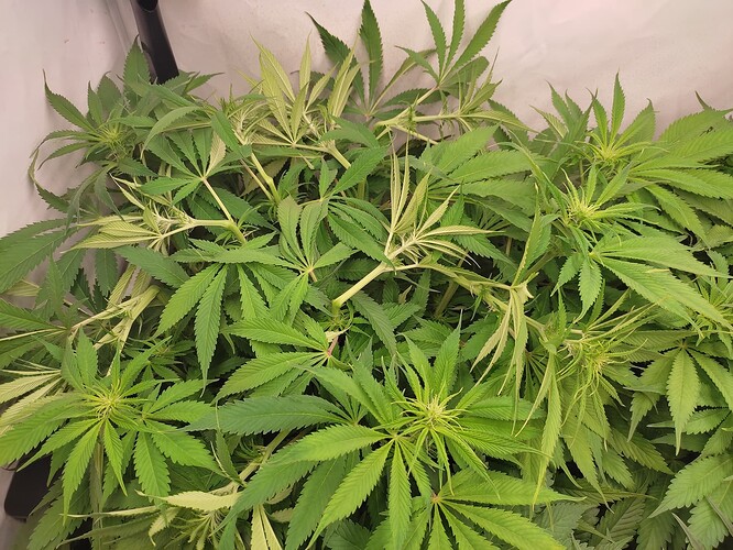 Growreport Bild 15