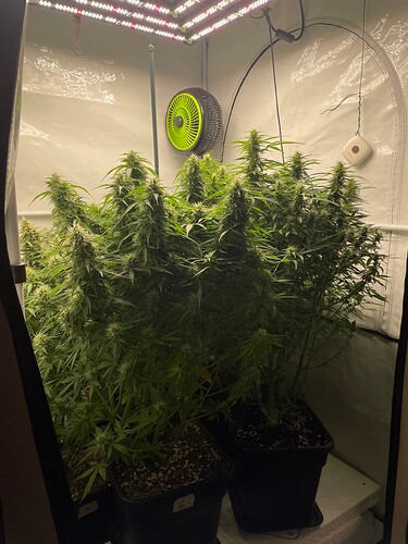 Growreport Bild 1