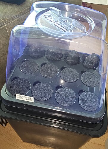 Growreport Bild 33