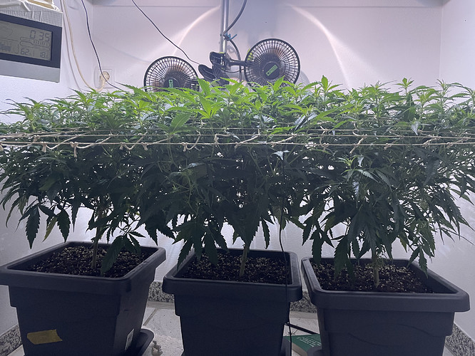 Growreport Bild 8