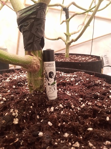 IMG_20210314_221305_007