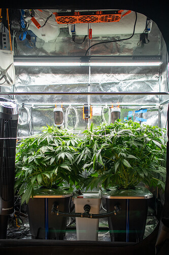 Growreport Bild 7
