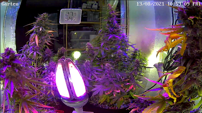 Growreport Bild 1