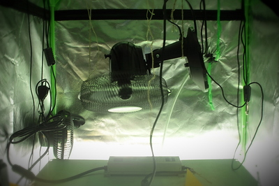 Growreport Bild 8