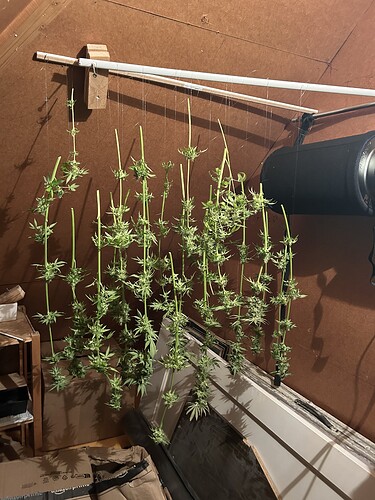 Growreport Bild 12