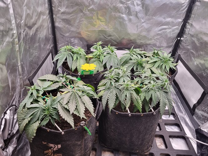Growreport Bild 12