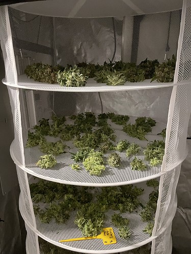 Growreport Bild 15