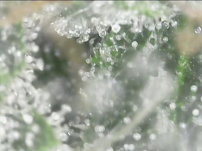 Screenshot_20220906-200929_Gallery