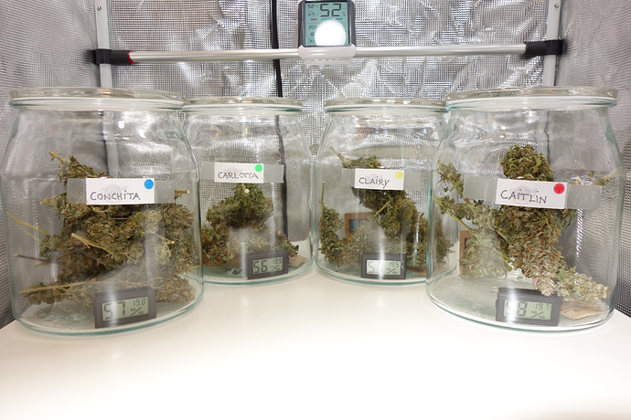 Growreport Bild 11